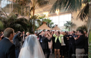 Animation de mariage à la palmeraie de la tour Pro-anim Lyon