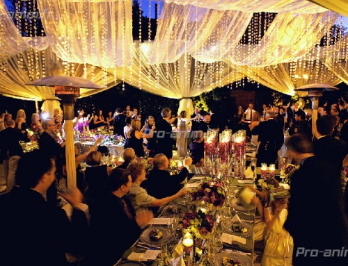 Mariage haut de gamme